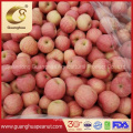 Wholesale Red FUJI Apple with High Sugar